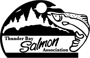 TBSA-Logo-Black